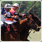 polojo 1
