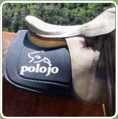 polojo 2