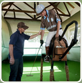 polojo 1